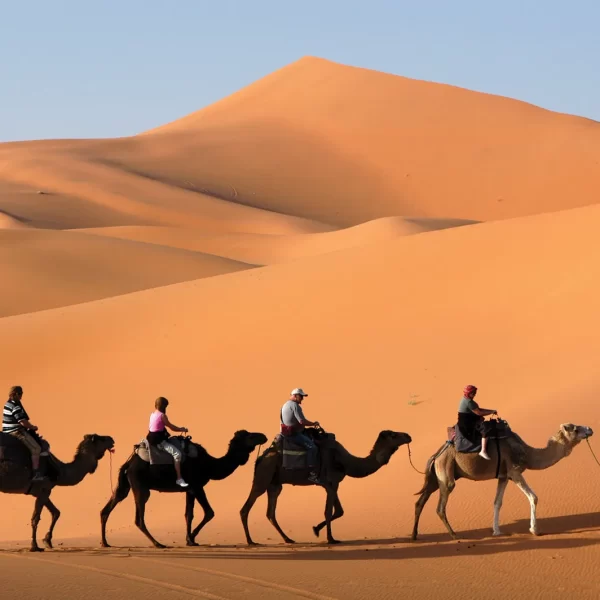 The Incense Route Journey (#Rubalkhali 4/3)