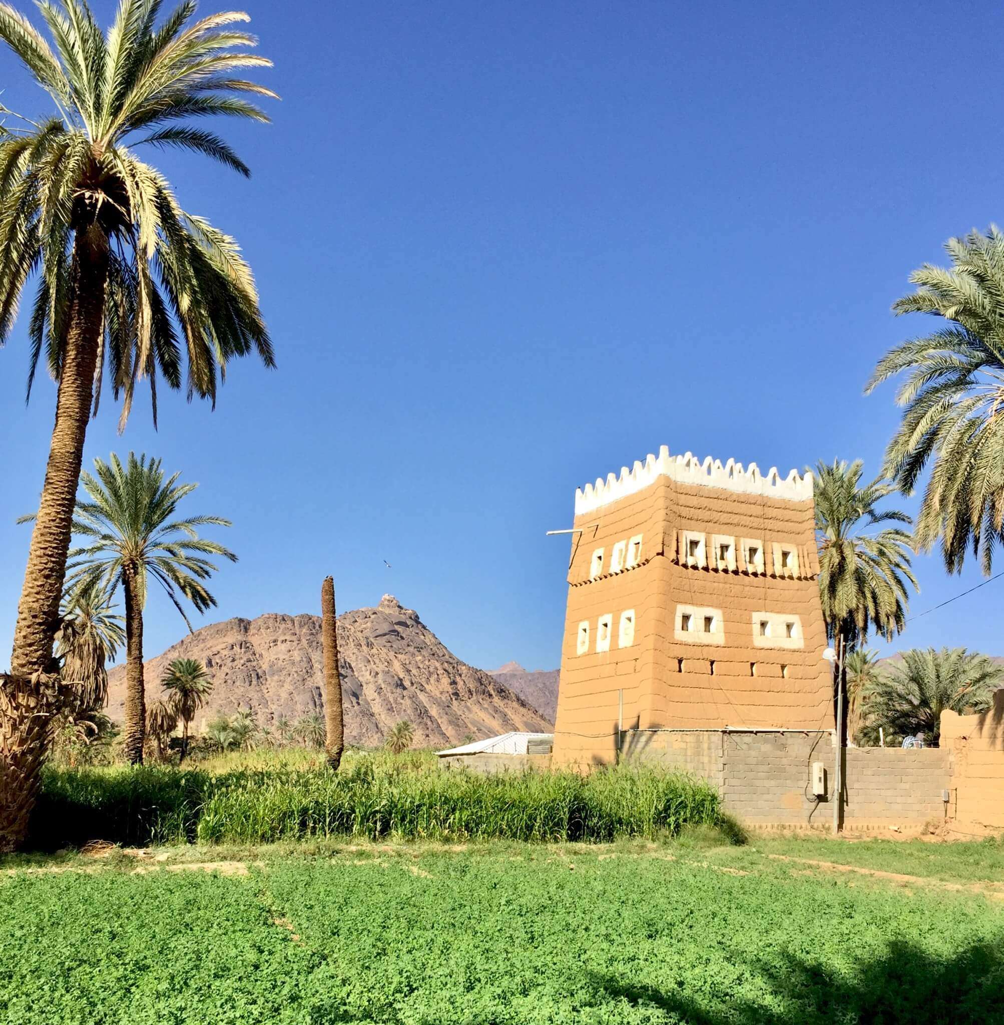 Discover Saudi (#najran 2/17)