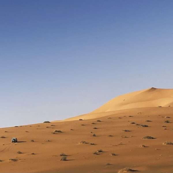 Edge of the adventure (#rubalkhali 4/2)